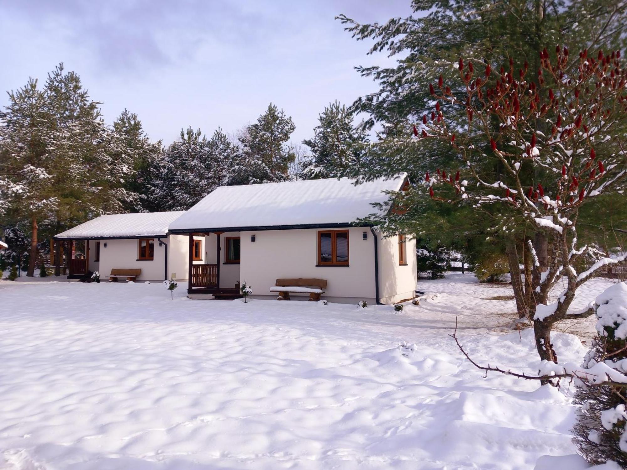 Chatki Lesniczego Bukowiec  Extérieur photo