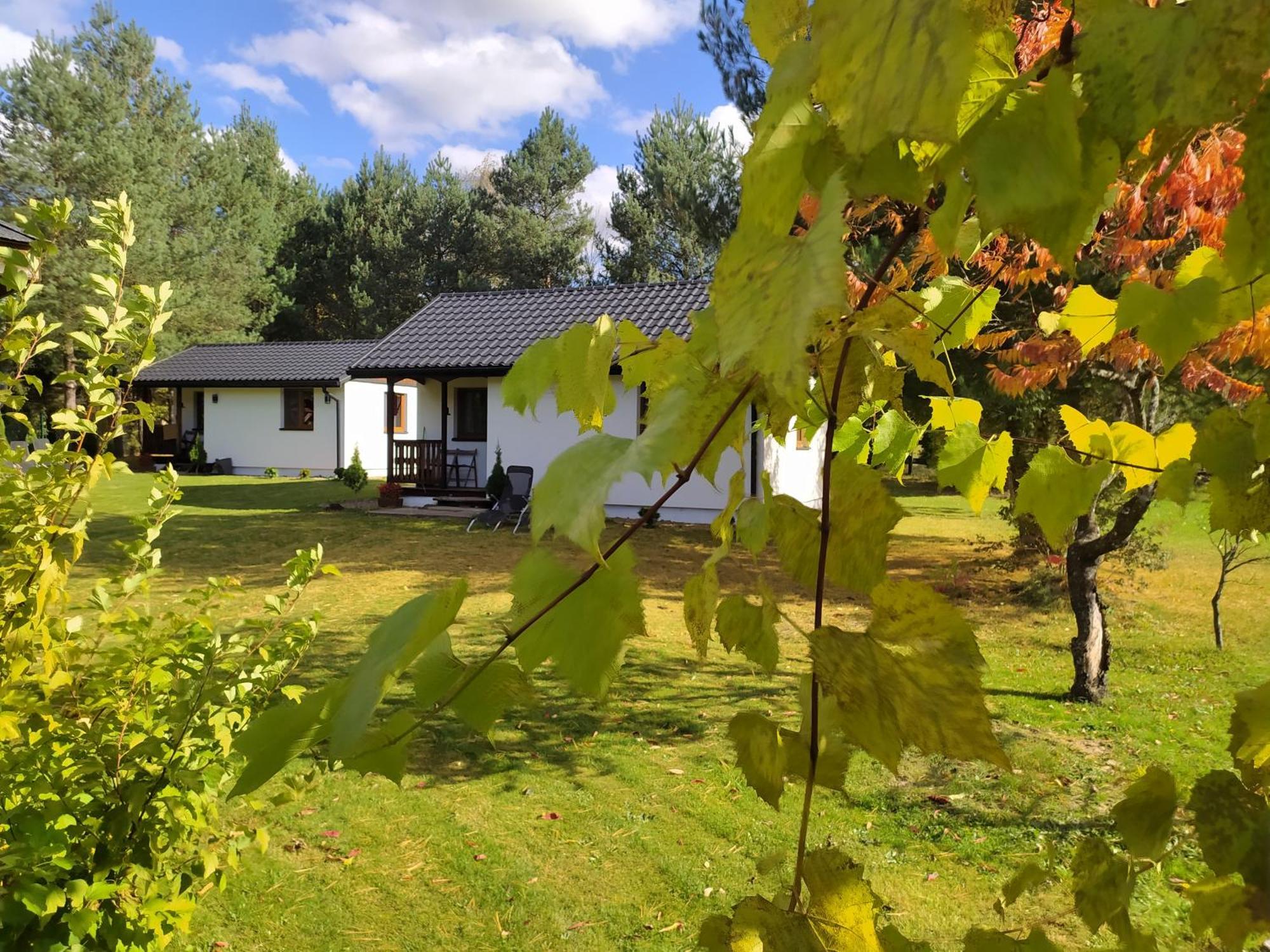 Chatki Lesniczego Bukowiec  Extérieur photo